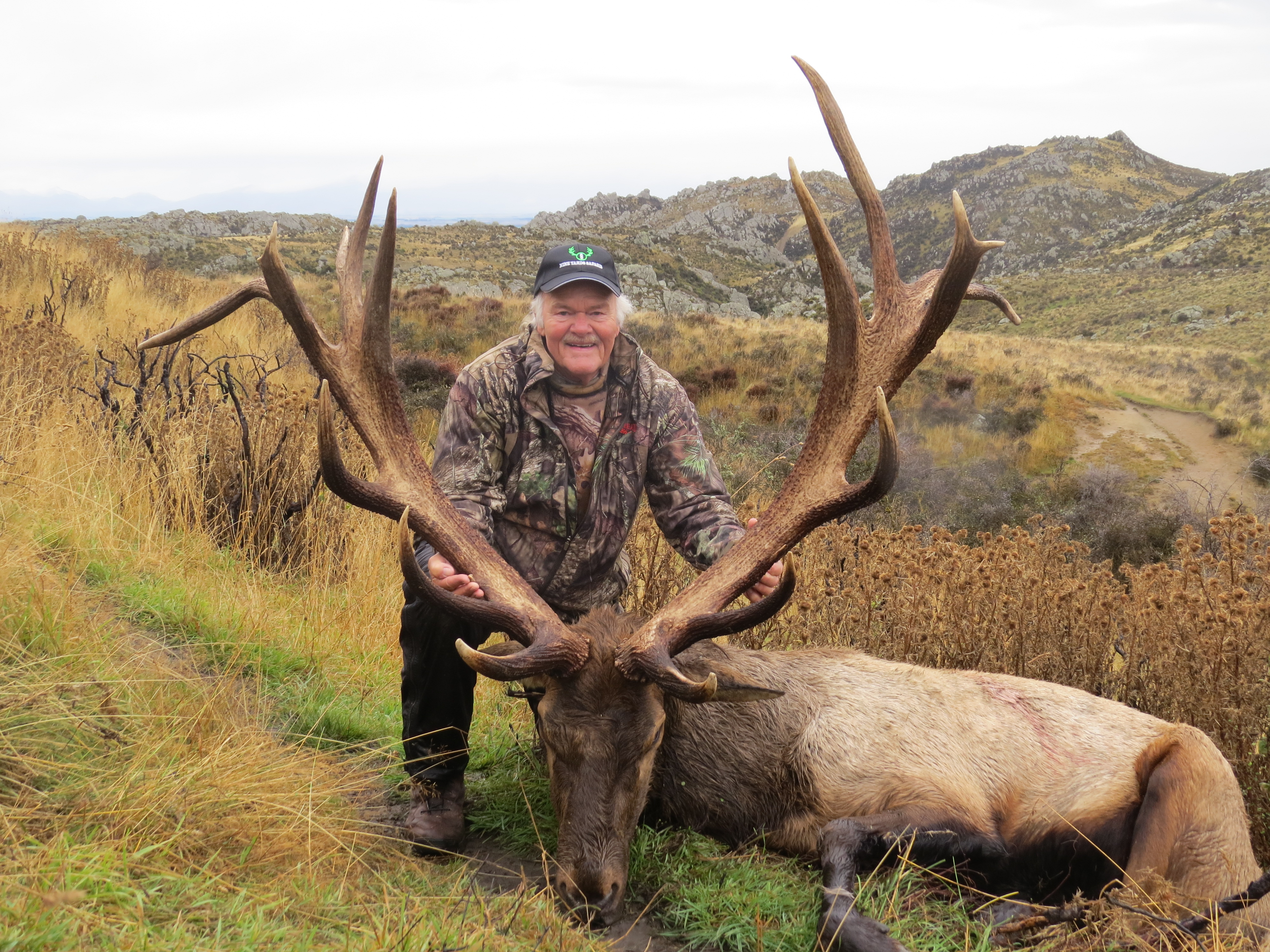 Elk