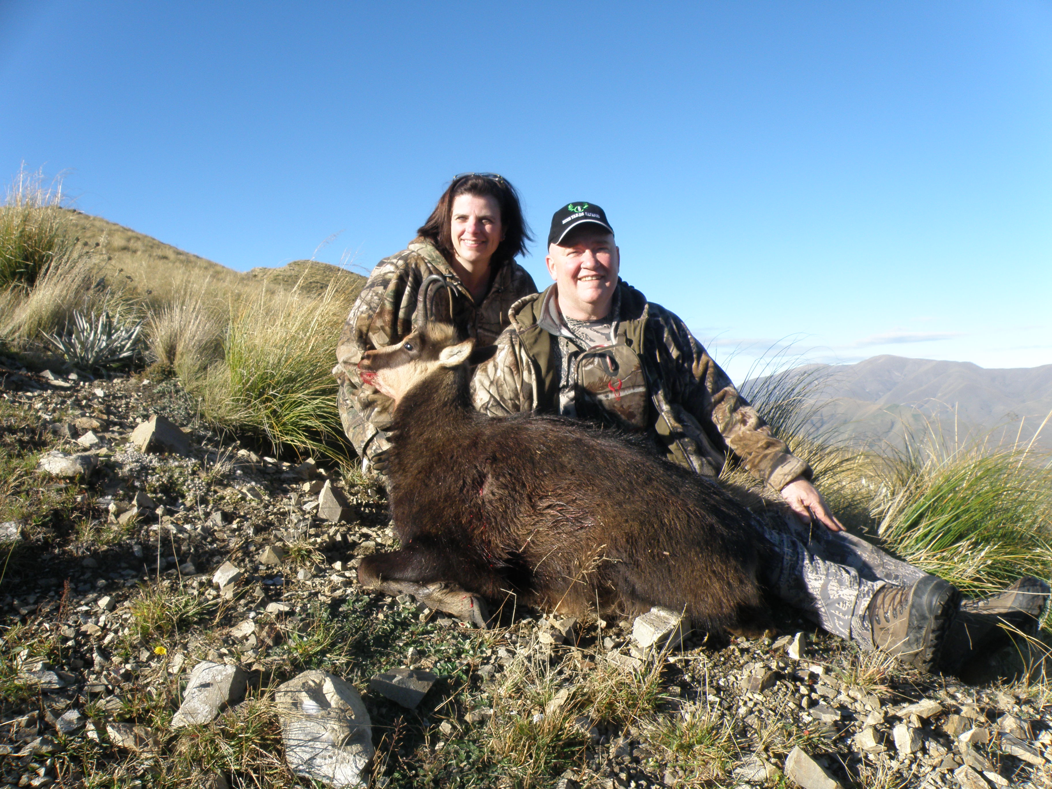 Bring your companion